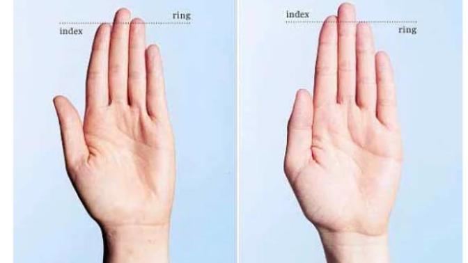 Beyler bayanlar ortaya yeni bir iddia daha çıktı penis boyuna neye göre karar verecek bu millet?