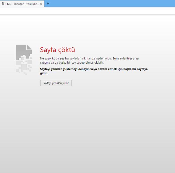 Sayfa Çöktü Hatası ?