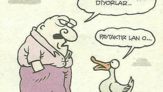 Kaypak mısınız?