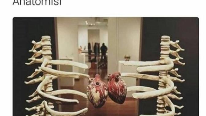 Sarılmanın anatomisini gördünüz mü? Ne düşündürdü?