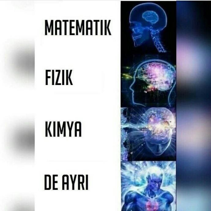 Lisede en sevdiğiniz ders neydi ?