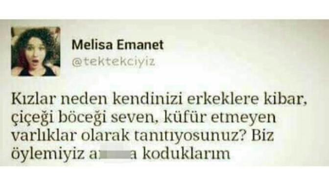 Kızlar neden kendinizi erkeklere kibar, çiçeği böceği seven, küfür etmeyen varlıklar olarak tanıtıyosunuz?