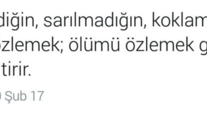Siz hiç dokunmadığınız kokusunu bilmediğiniz birini özlediniz mi?