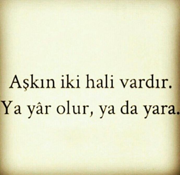 Aşkın kaç halı vardir?