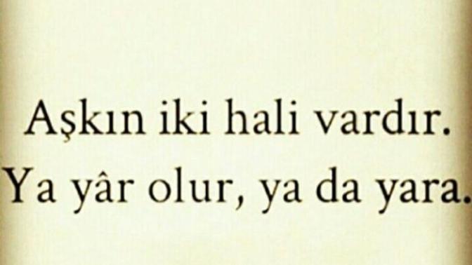 Aşkın kaç halı vardir?