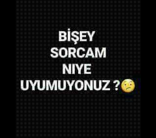 evet arkadaşlar niye uyumuyorsunuz ??