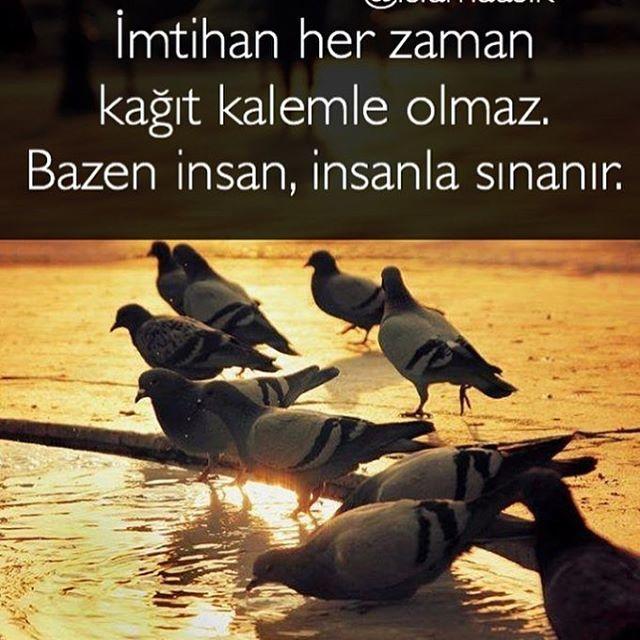 Çevresi tarafından sabrı sınanan insanlar ne kadar tehlikeli olabilirler?