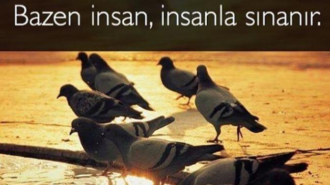 Çevresi tarafından sabrı sınanan insanlar ne kadar tehlikeli olabilirler?