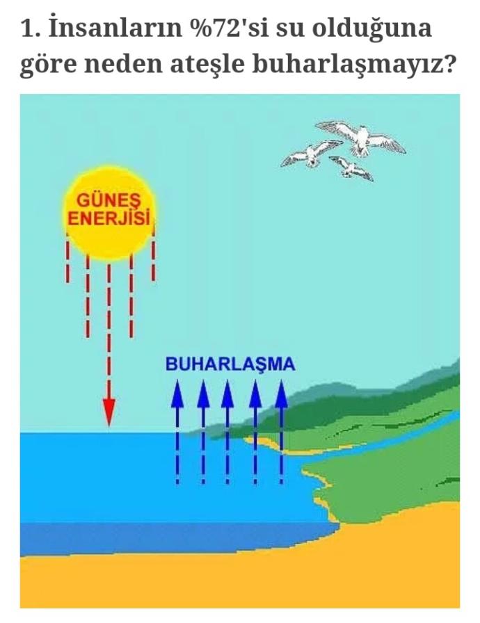 İnsanların %72 si su olduğuna göre neden ateşte buharlaşmayız ??