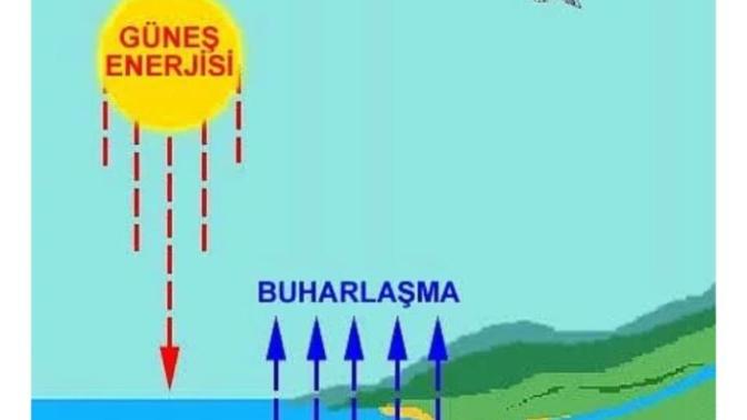 İnsanların %72 si su olduğuna göre neden ateşte buharlaşmayız?