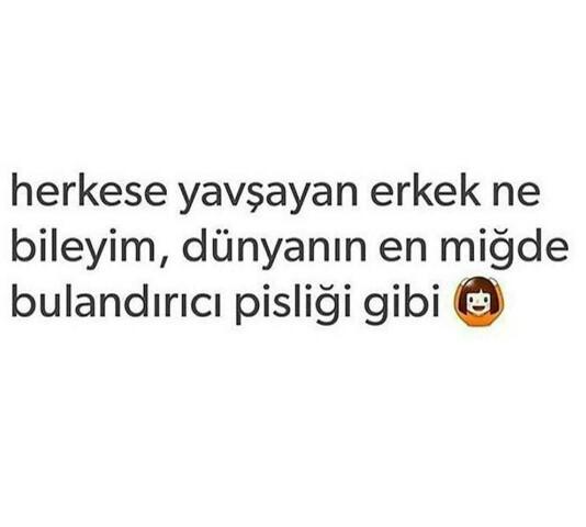 En sevmeğiniz kız/erkek tipi nasıldır?