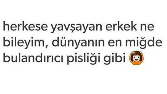En sevmeğiniz kız/erkek tipi nasıldır?
