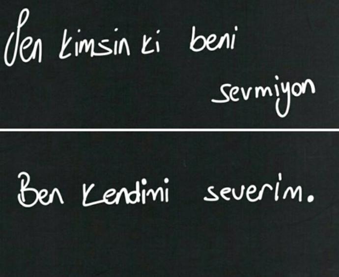 sizi sevmeyen insanlar hangi özelliğinizden dolayı sevmezler ?