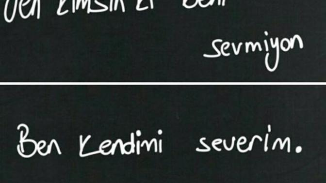 Sizi sevmeyen insanlar hangi özelliğinizden dolayı sevmezler?