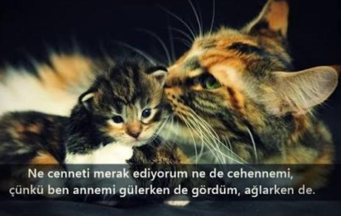 Ya o kadar sinirliyim ki bir türlü sakinleşemiyorum.Ne önerirsiniz😧😡?