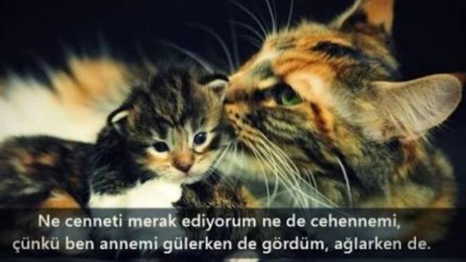 Ya o kadar sinirliyim ki bir türlü sakinleşemiyorum. Ne önerirsiniz?