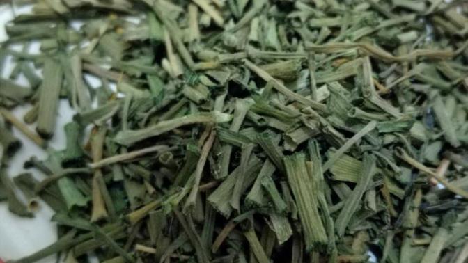 Bu göstereceğim bitkiyi 1000 insandan biri belki bilir belki bilmez, bizim orda trabzonda yetişen bu bitki nedir?
