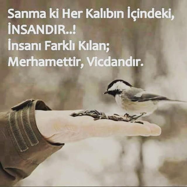 İnsanı insan yapan özellikler nedir ?