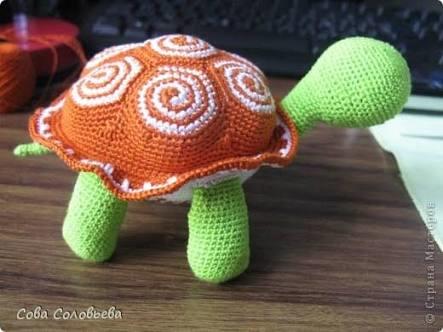 Oğluma amigurumi kaplumbağa ördürücem. Bu iki seçenek arasında kaldım. Sizce hangisi? 