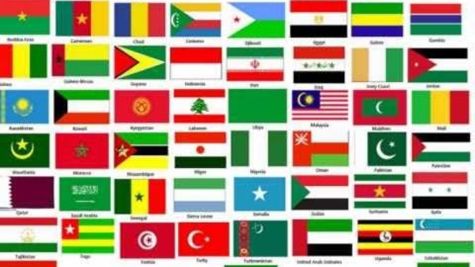 Islam diyince Arapmisin?  ya da  islama Arap dini diyen kit zekalilar Araplarin sadece 18% oldugunu biliyorlarmi acaba?