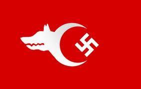 Türk nazizmi hakkında ne düşünüyorsunuz?