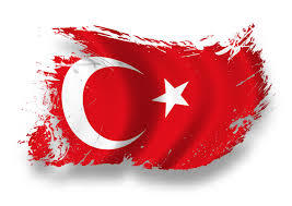 İnsanda 1 tane, Türkiye'de 2 tane olan şey nedir?