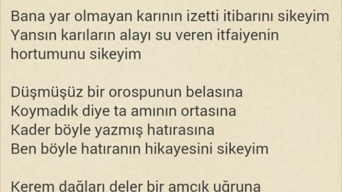 Bu şiir hakkinda ne dusunuyosun (+18)😂?