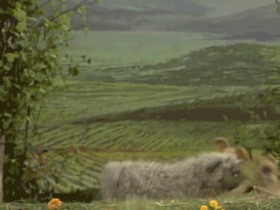 Kadınlık Onuruna İlk Sahip Çıkması Gereken Kimlerdir?
