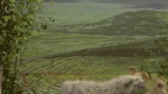 Kadınlık onuruna ilk sahip çıkması gereken kimlerdir?