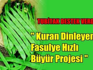 Tubitak Bilim Fuarı Ödülü Ayet Okunan Fasulye. Gorusleriniz neler?