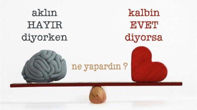 Aklın hayır diyorken ya kalbin evet diyorsa hangisini dinlersiniz?