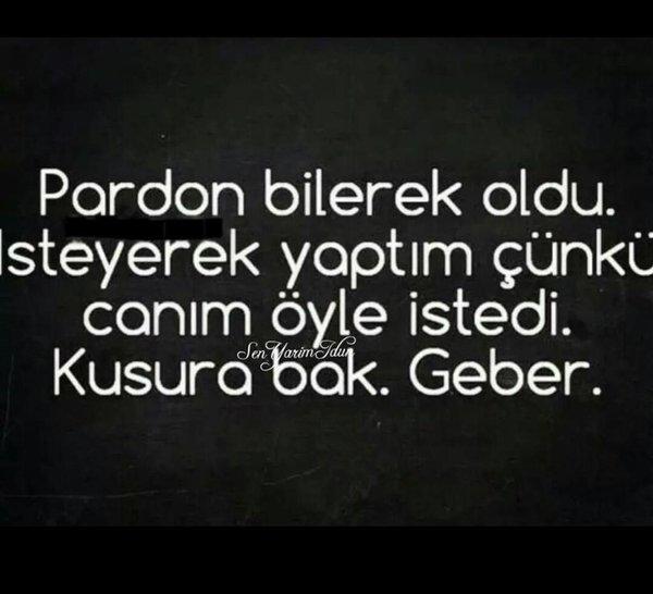 Canınızı sıkan insanlara karşı tavrınız nasıl olur ?