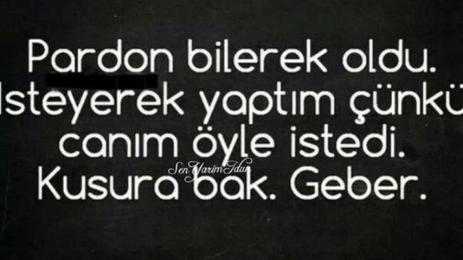 Canınızı sıkan insanlara karşı tavrınız nasıl olur?