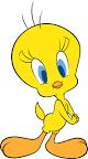 Tweety erkek mi kız mı?