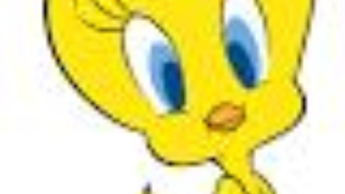 Tweety erkek mi kız mı?