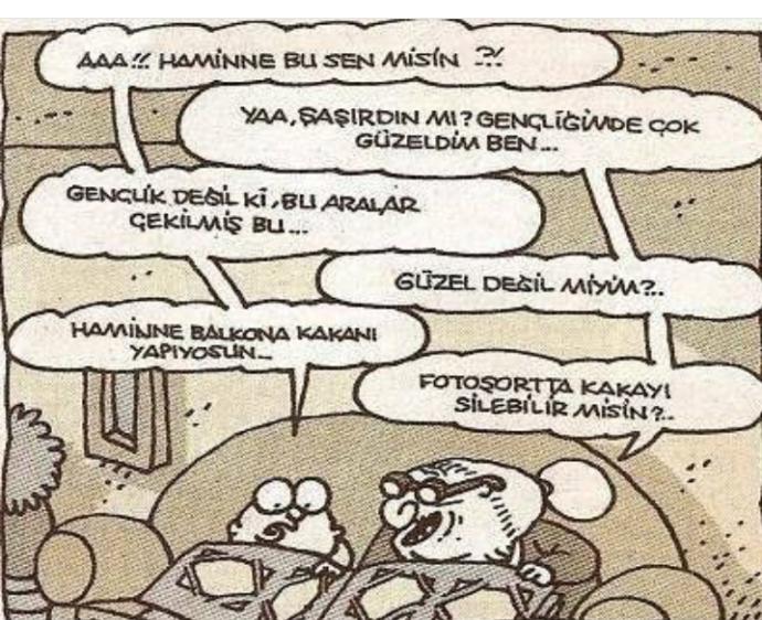 Karikatür sevenler :) ?