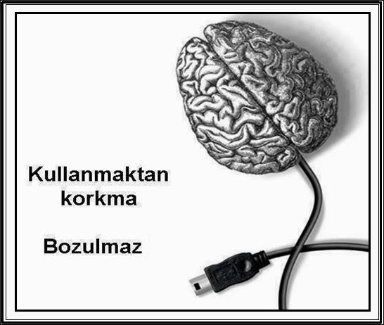 Sizce Aşk Gerekli Mi?