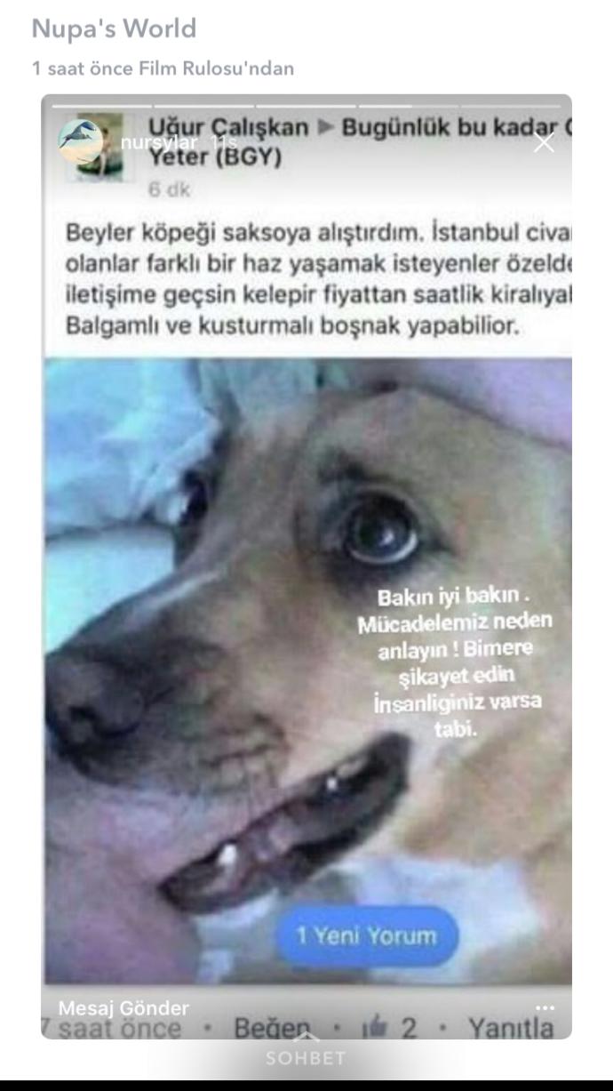 Aşağıda vereceğim adreslerden birine şu caniyi şikayet edip masum bir hayvanı kurtarmama yardımcı olur musunuz ?