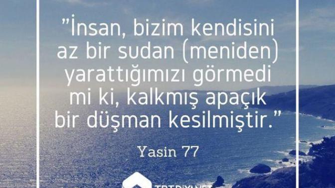 Bu sözde ne demek isteniyor?