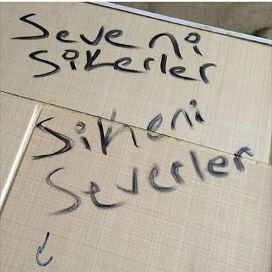 Sevgi nedir merak ettim cevapları?