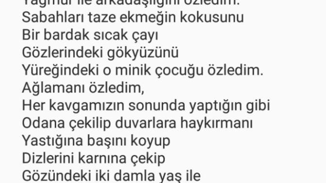 Şair burada ne anlatmak istemiş sizce, bence bir evliliğin bitmesi ve pişmanlık, sizce?