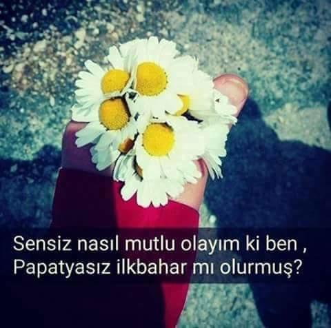 Kızıma papatya ismini koymak istiyorum sizce nasıl kızlar?