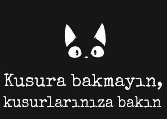 Siz kusuramı bakarsınız, kusurlarınıza mı?