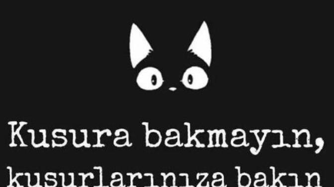 Siz kusuramı bakarsınız, kusurlarınıza mı?