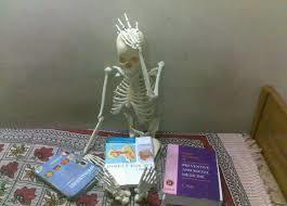 bir bayan ıcın okumak mı evlenmek mı calısmak mı ?? 