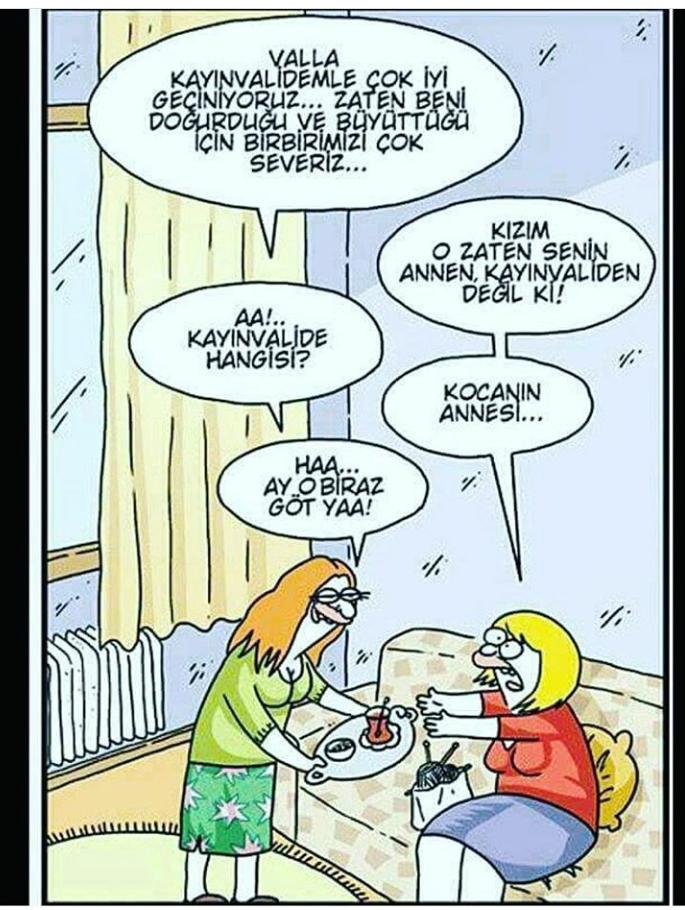 Eşinizin / Sevdiceğinizin ailesini seviyor musunuz? 
