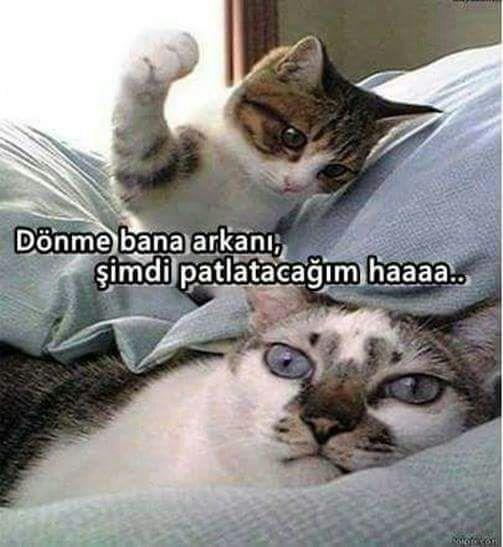 Evlilikte, eşin rızası olmadan ona sırt dönüp uyumak günah derler, doğru mu, hurafemi?