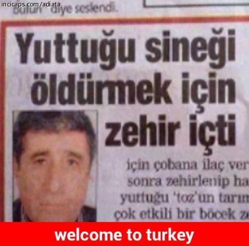 Sizce aziz nesin in dediği gibi türkiyedekilerin yüzde 60 ı aptalmı?