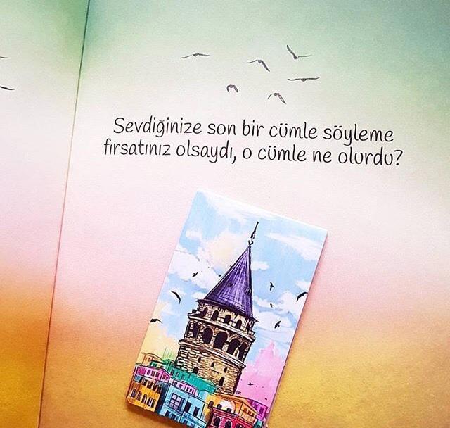 Sevdiğine son  bir  söz söyleme hakkın olsa ne söylerdin ?
