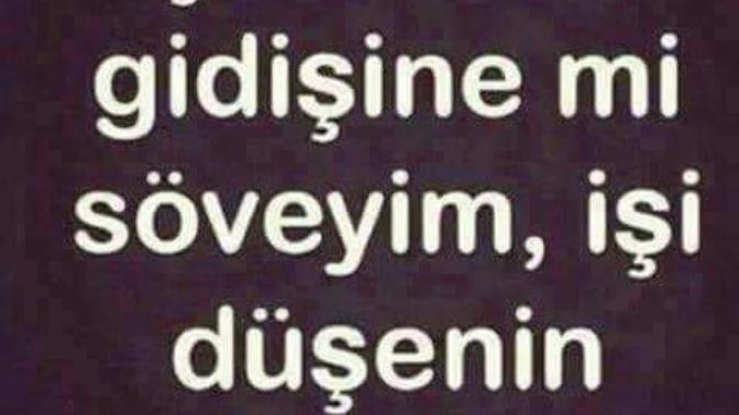 İşi bitenin gidişine mi söveyim, işi düşenin gelişine mi ?